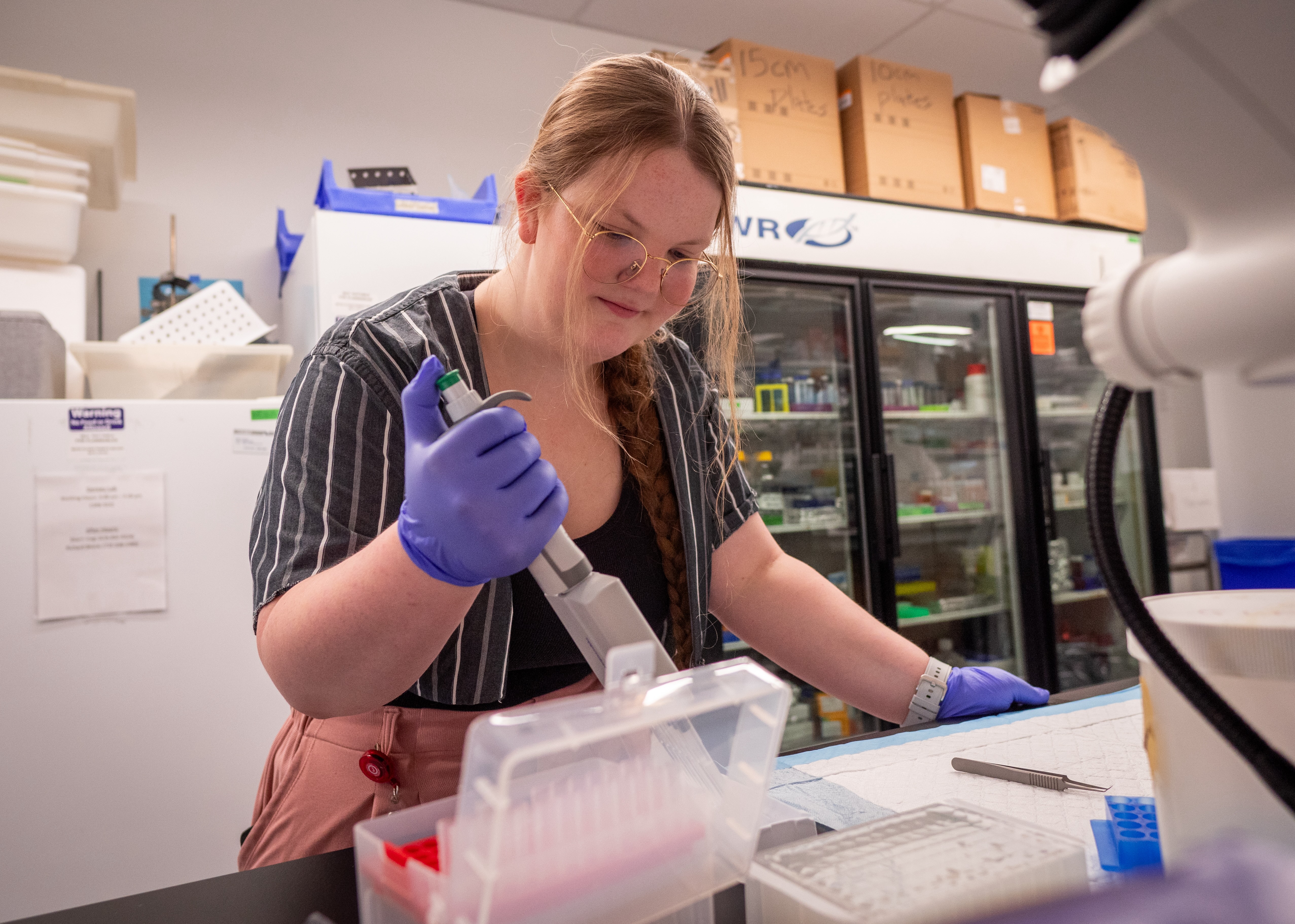 Biology Student Makenna Fluegel Conducting Lab Research
