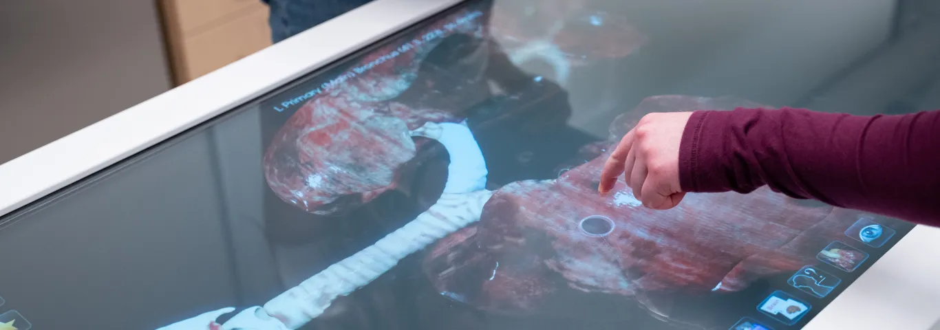 Digital dissection: the technology transforming how biology students learn