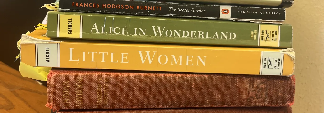 Rethinking childhood through the Children’s Studies minor