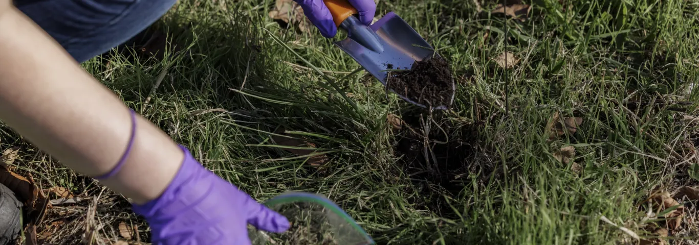 WashU faculty and students search for a hidden hazard in a tornado’s path