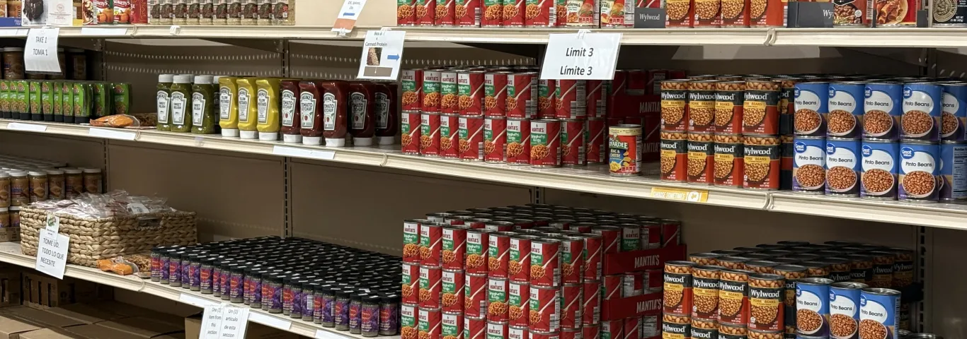 Mapping food pantry deserts across St. Louis