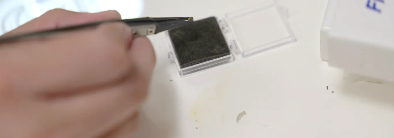 WashU researchers use quantum biosensors to peer into the inner workings of living cells