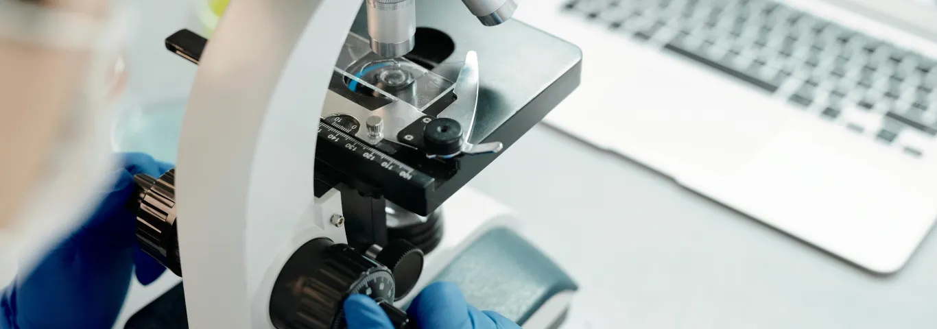 Finding predictability in the teeming world of bacteria