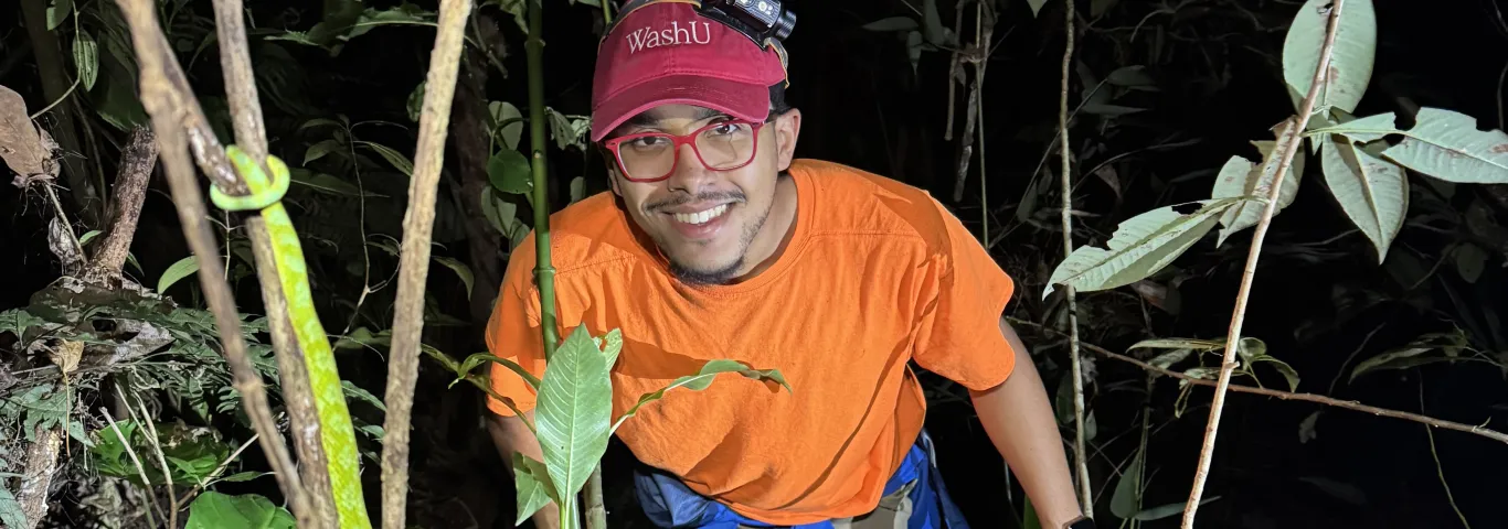 What I learned following a mentor into the jungle
