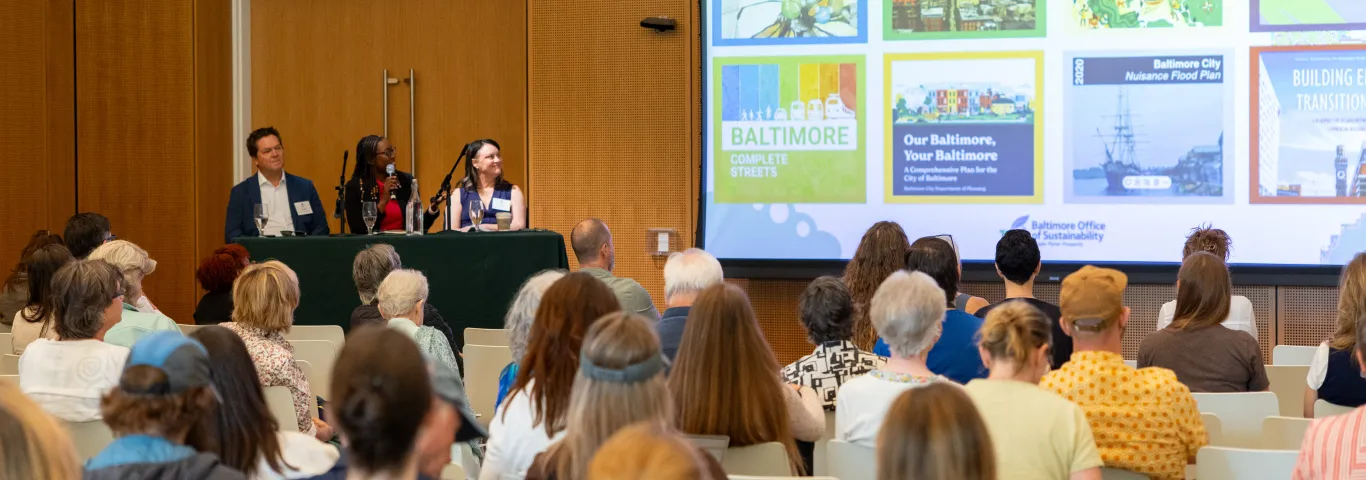 WashU students help imagine a greener St. Louis