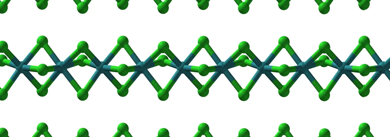 Studying the small to understand the big