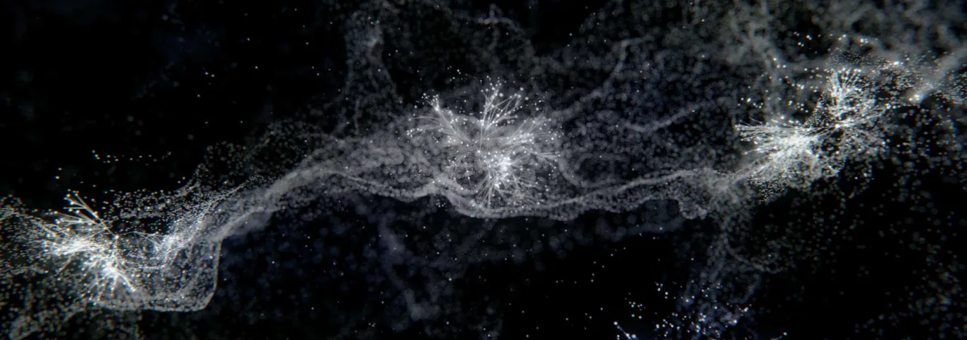 Arts & Sciences faculty among world’s most highly cited researchers