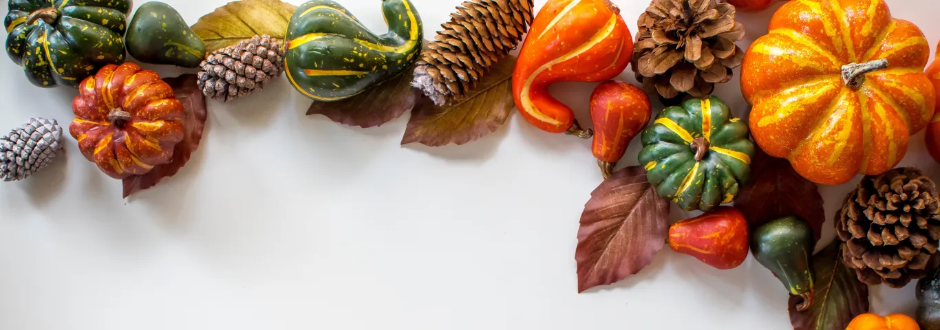 Recipes for a very Arts & Sciences Thanksgiving