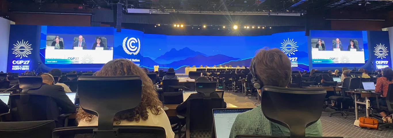 Students attend 27th annual U.N. climate change conference