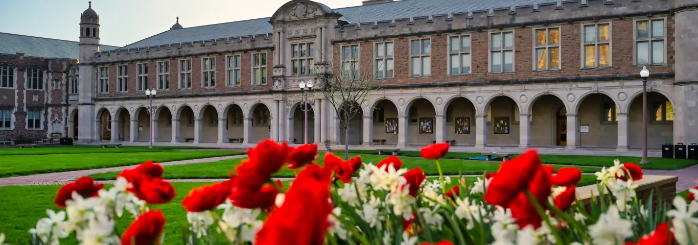 A powerhouse of a program: The MFA in writing