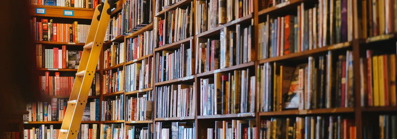 Dorothy, a publishing project, launches new books and hosts discussions with independent bookstores