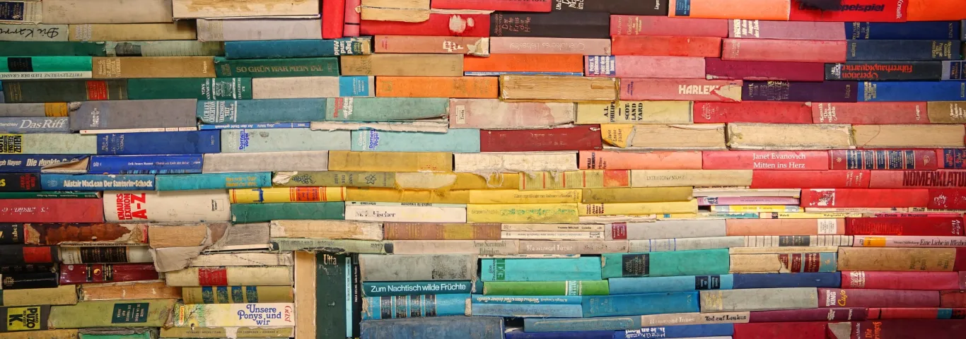 New publishing concentration introduced for English major