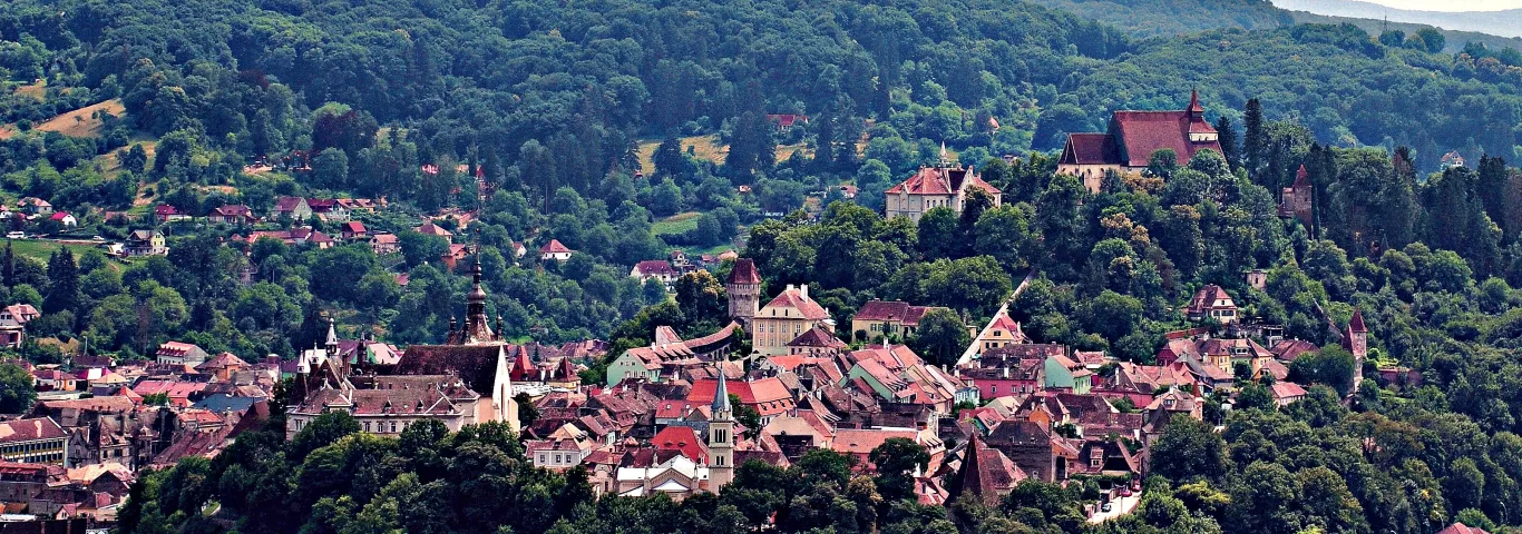 Sociology and literary studies combine to re-envision Transylvanian modernism