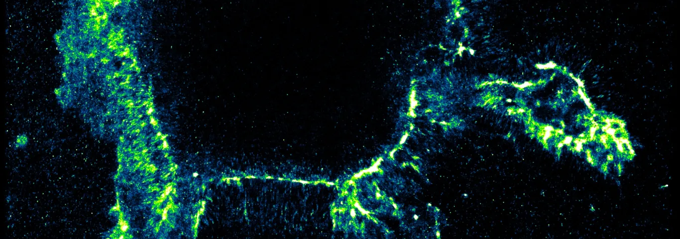 WashU chemists develop groundbreaking test to track crucial edits to RNA