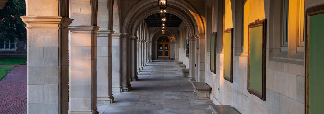 Acree named vice dean of interdisciplinary initiatives and innovation