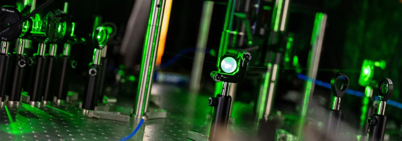 Meet our new faculty: Natural sciences and mathematics