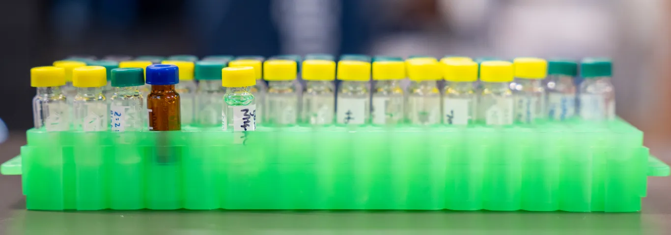 Untangling the roots of disease