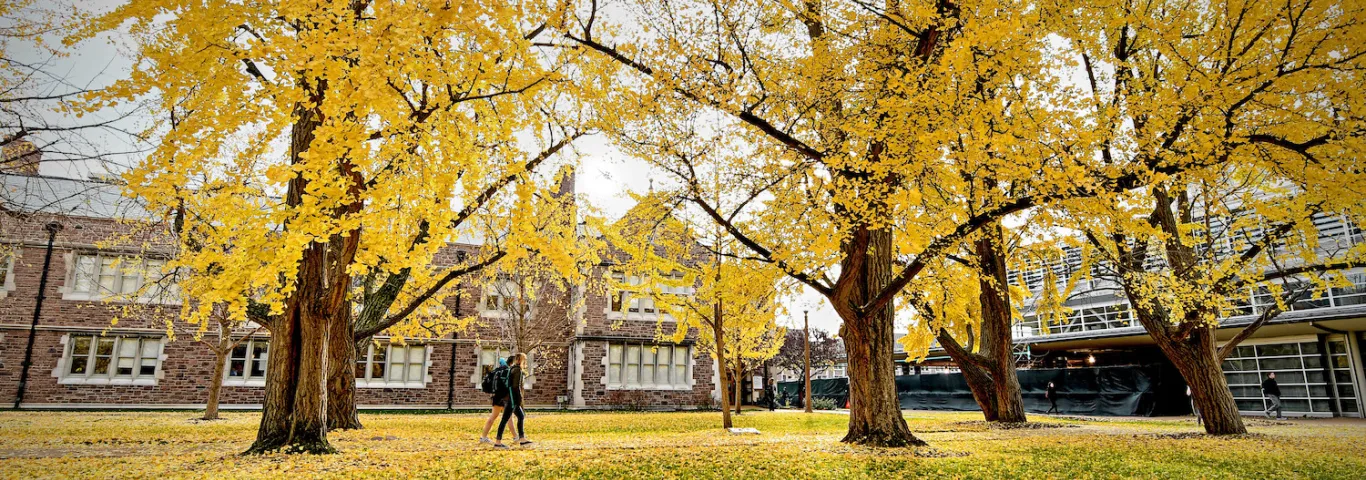 Braude, Green, and Mustakeem win Emerson awards for teaching