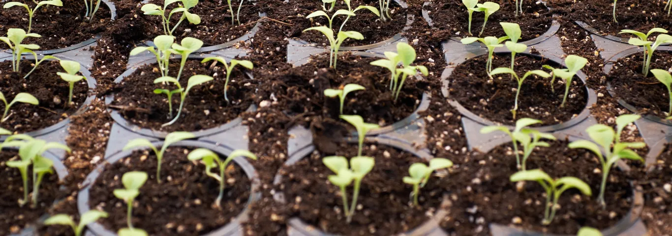 Becoming a biotech explorer