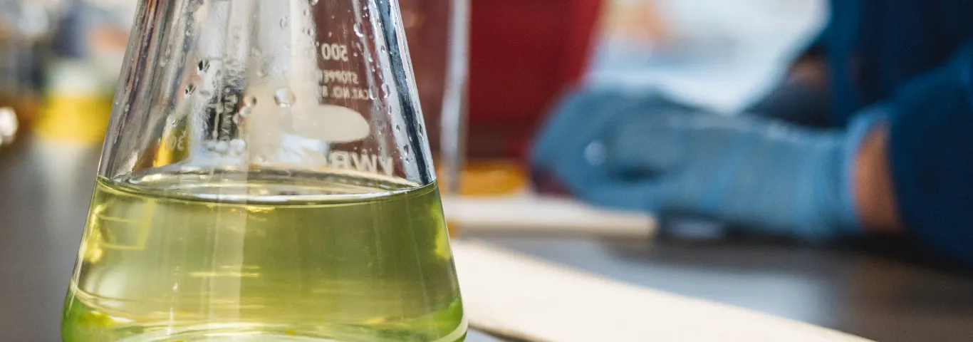 Meet our new faculty: Natural sciences and mathematics