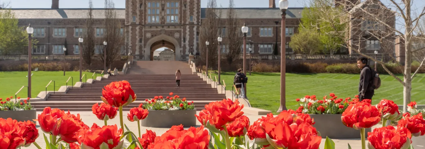 Celebrating faculty retirements