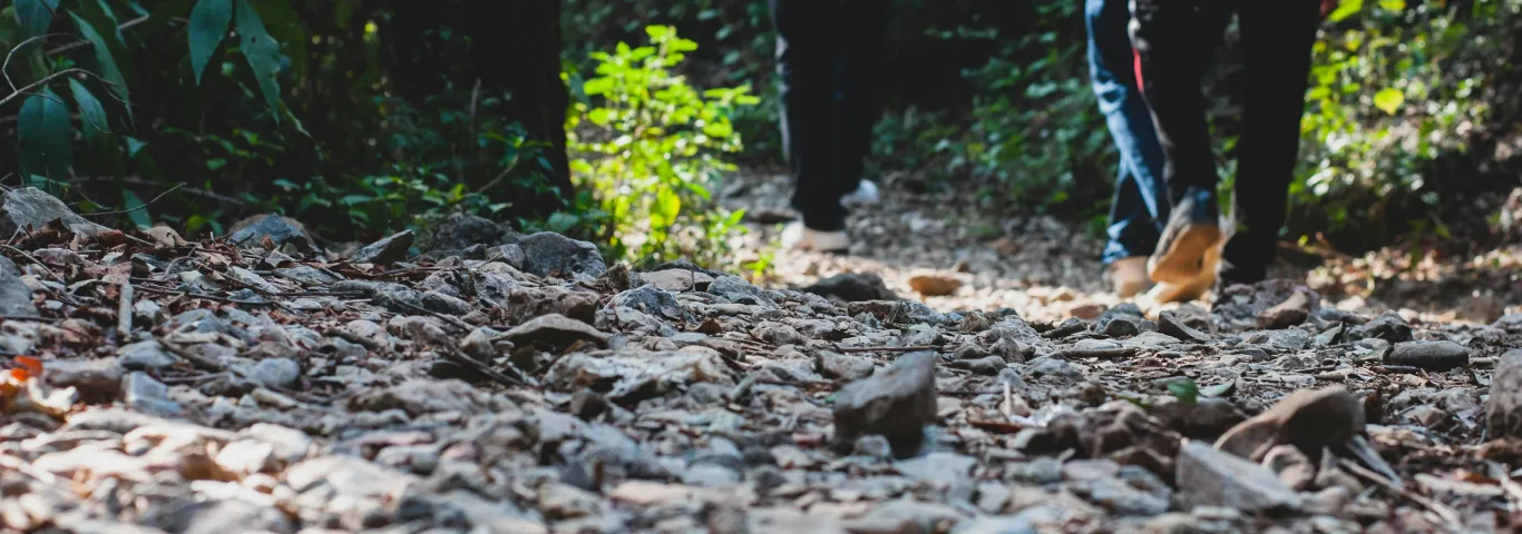 What’s it like to study Public Health at WashU?