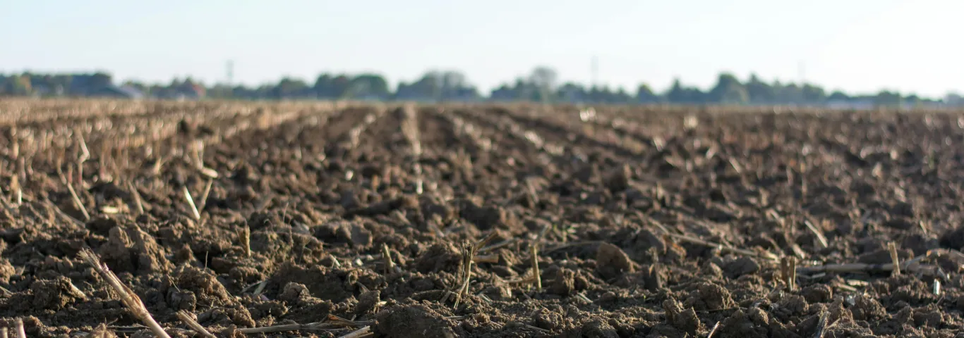 When physics meets ecology: Tikhonov digs deep for biological insights