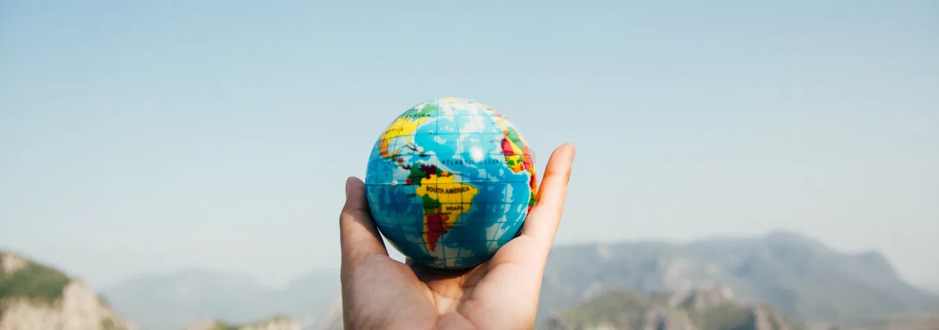 Meet our new faculty: Social sciences