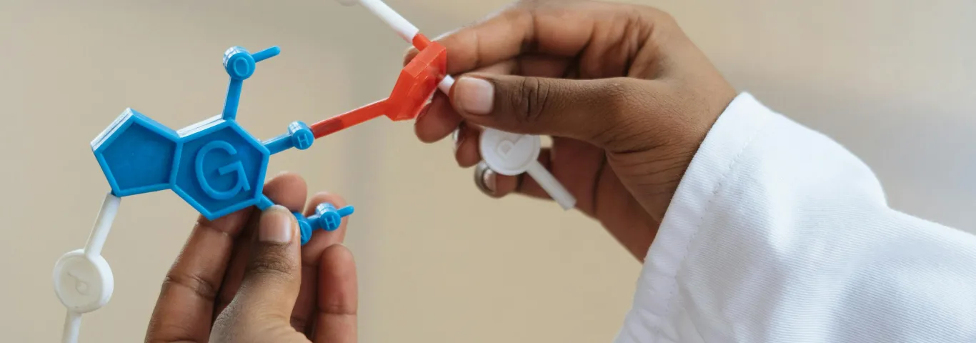 Why might women not pursue a career in STEM?