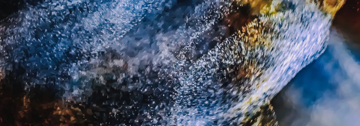 Science research roundup: September 2022