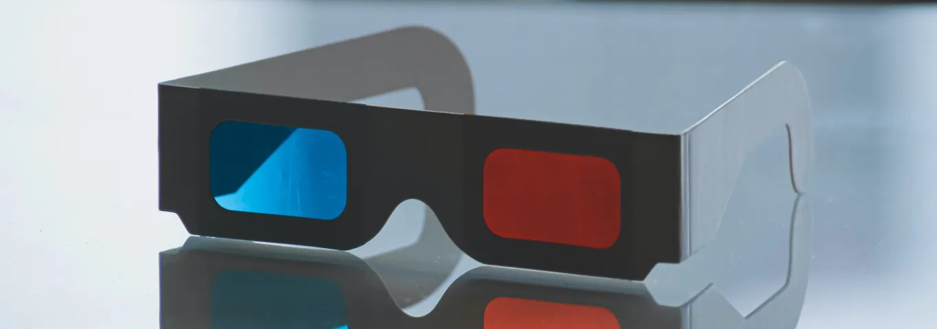 Viewing the world through partisan-tinted glasses