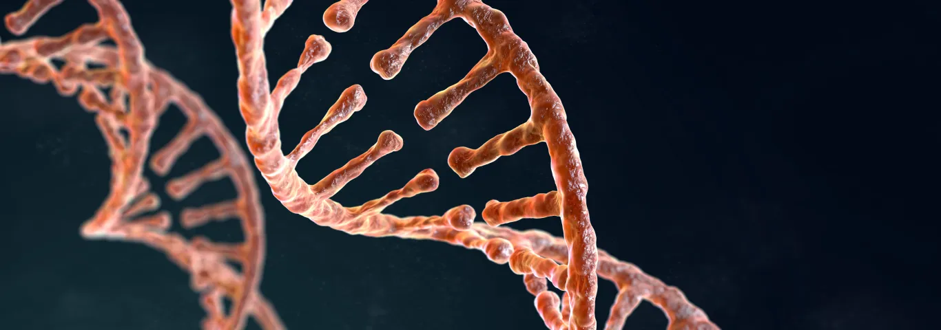 Rules of Life initiative brings new faculty to three departments