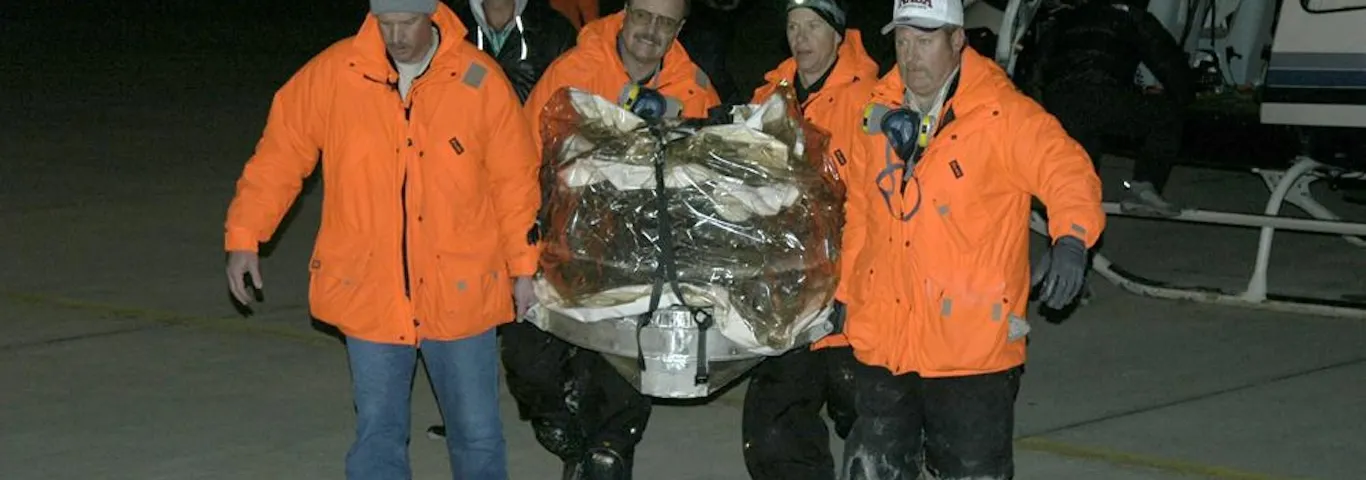 Samples from a Wild comet reveal a surprising past