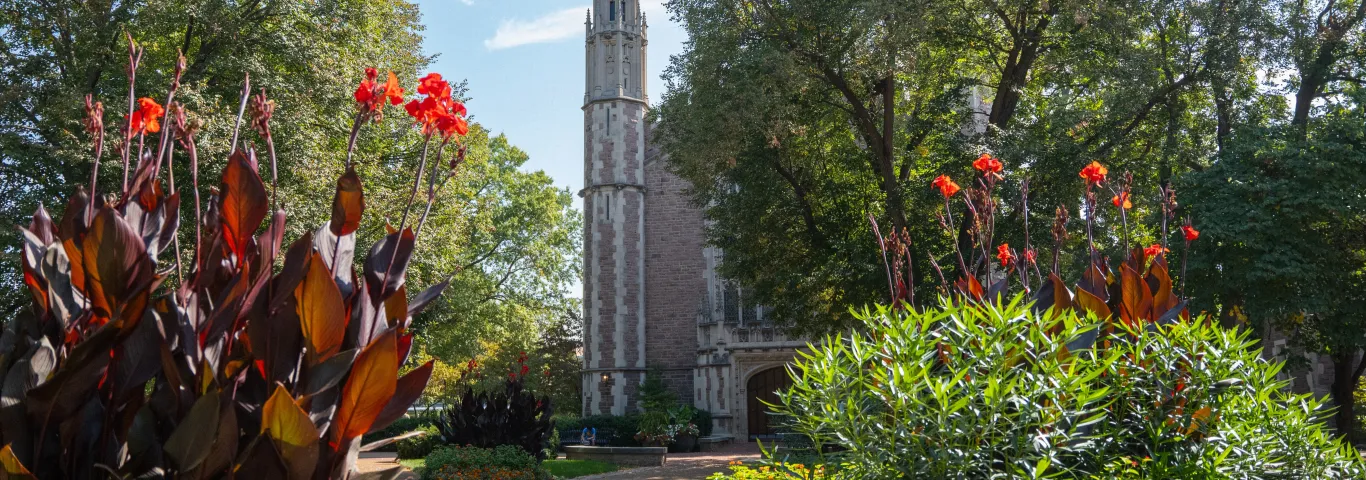 Carey named Dean’s Fellow for Educational Initiatives
