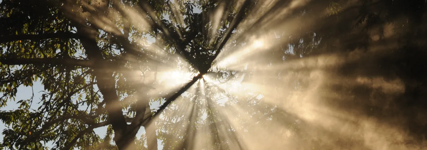 Arts & Sciences announces fall 2022 SPEED grant winners