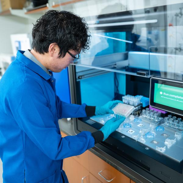 How WashU researchers are using AI to transform discovery