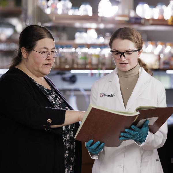 WashU chemists develop new method to engineer disaggregase enzymes with potential against ALS and Parkinson’s disease