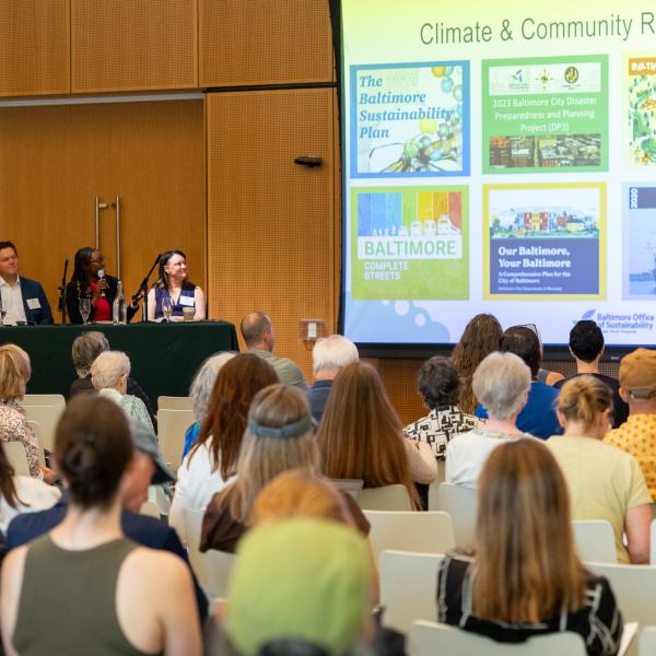 WashU students help imagine a greener St. Louis