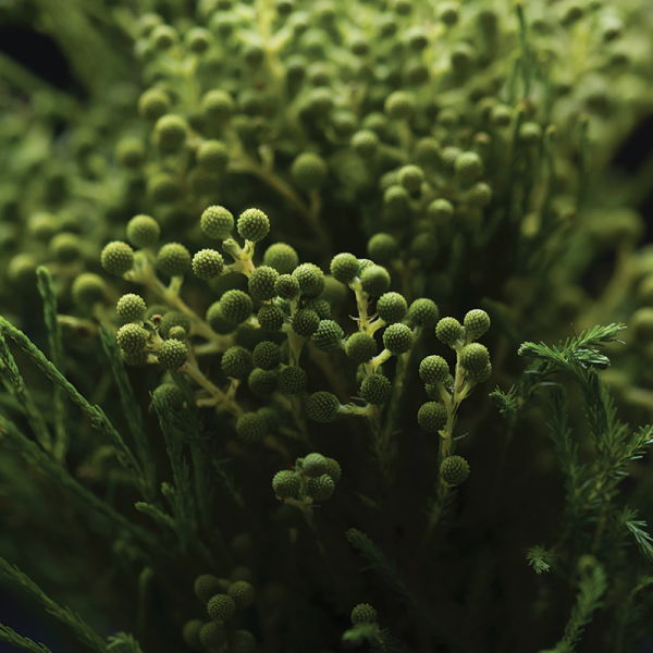 Environmental Biology Major