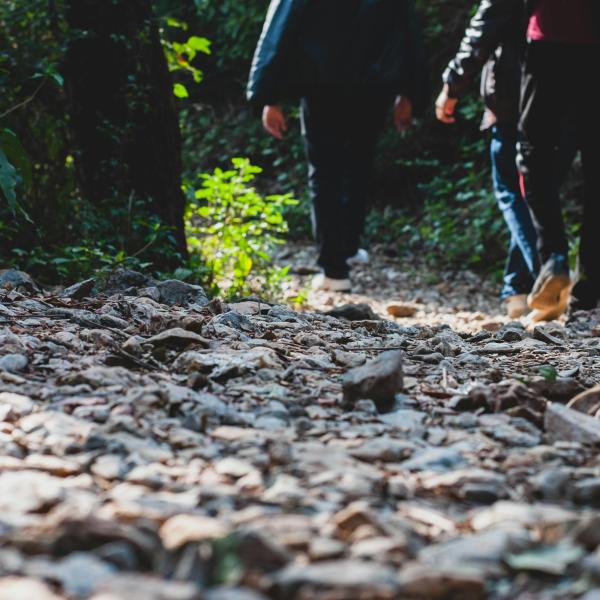 What’s it like to study Public Health at WashU?