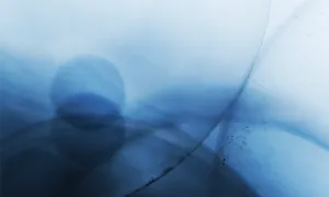 Biomedical Physics Minor
