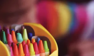 Educational Studies Minor