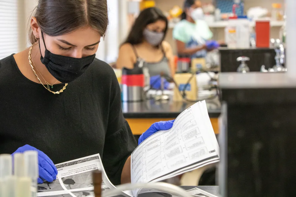 a student working in a biology teaching lab
