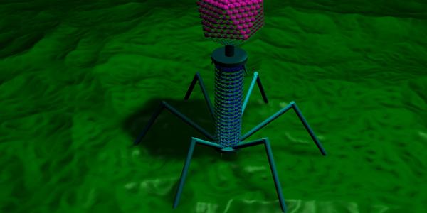 Phages