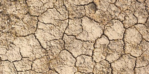 Desert floodplain