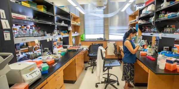 A graduate student conducts research in a lab while practicing social distancing.