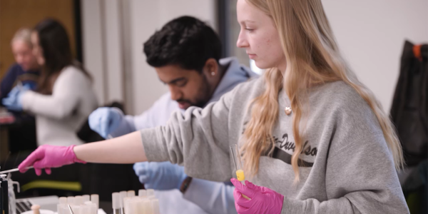 Two A&S students collaborate on a research project in the lab.