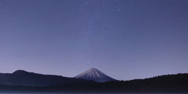 optional lowercase video title