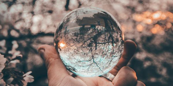 Ice globe in a forest