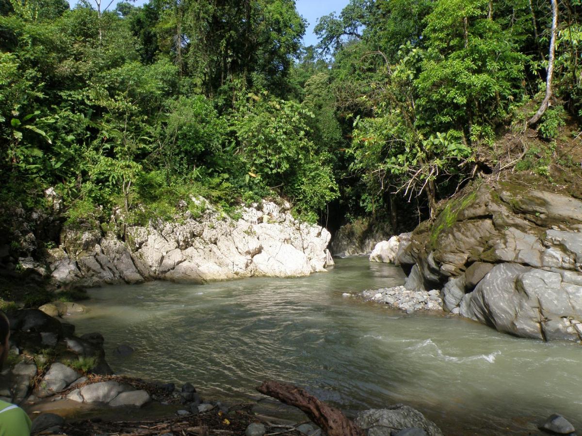 Bajos los Indios field site